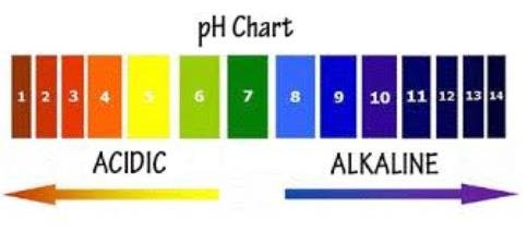 PH Chart for pool