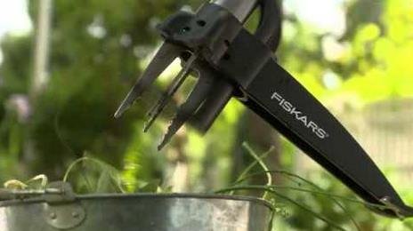 Tools to Remove Weeds