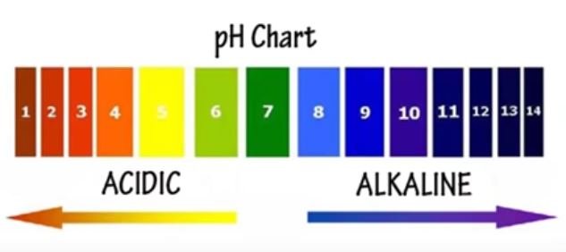 What is the Role Water Chemistry of Alkalinity VS PH in Swimming Pool ...