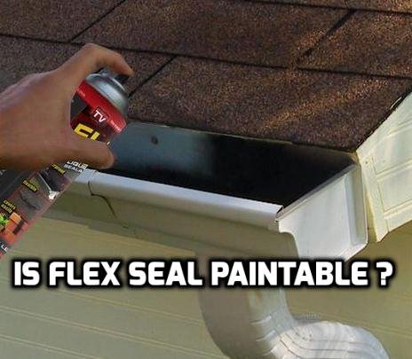 is flex seal paintable