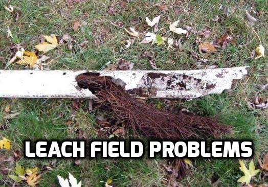 leach field problems
