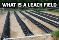what is a leach field