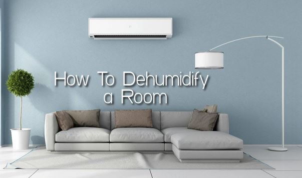 How To Dehumidify a Room