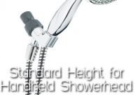 handheld showerhead