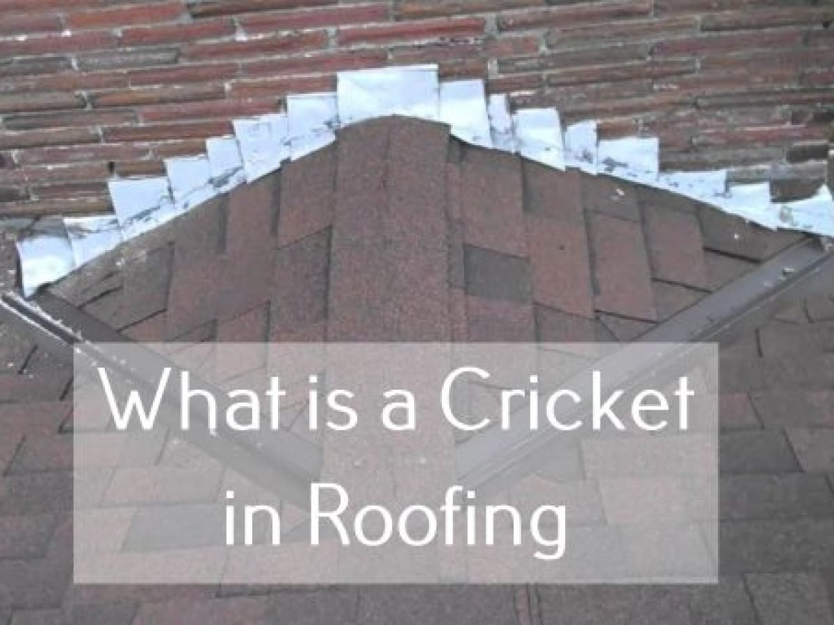 roof cricket