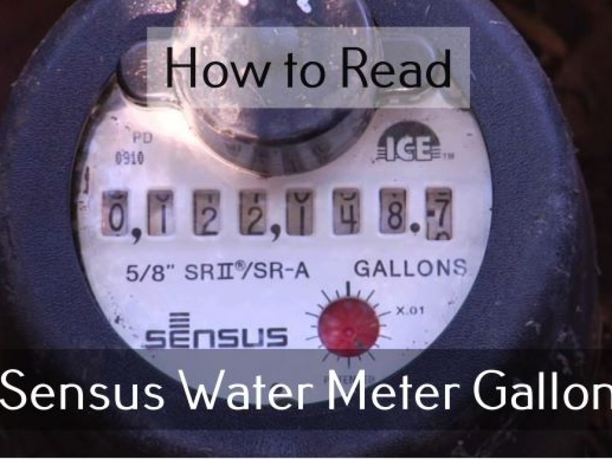 how to read a sensus water meter