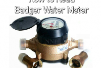 badger water meter problems