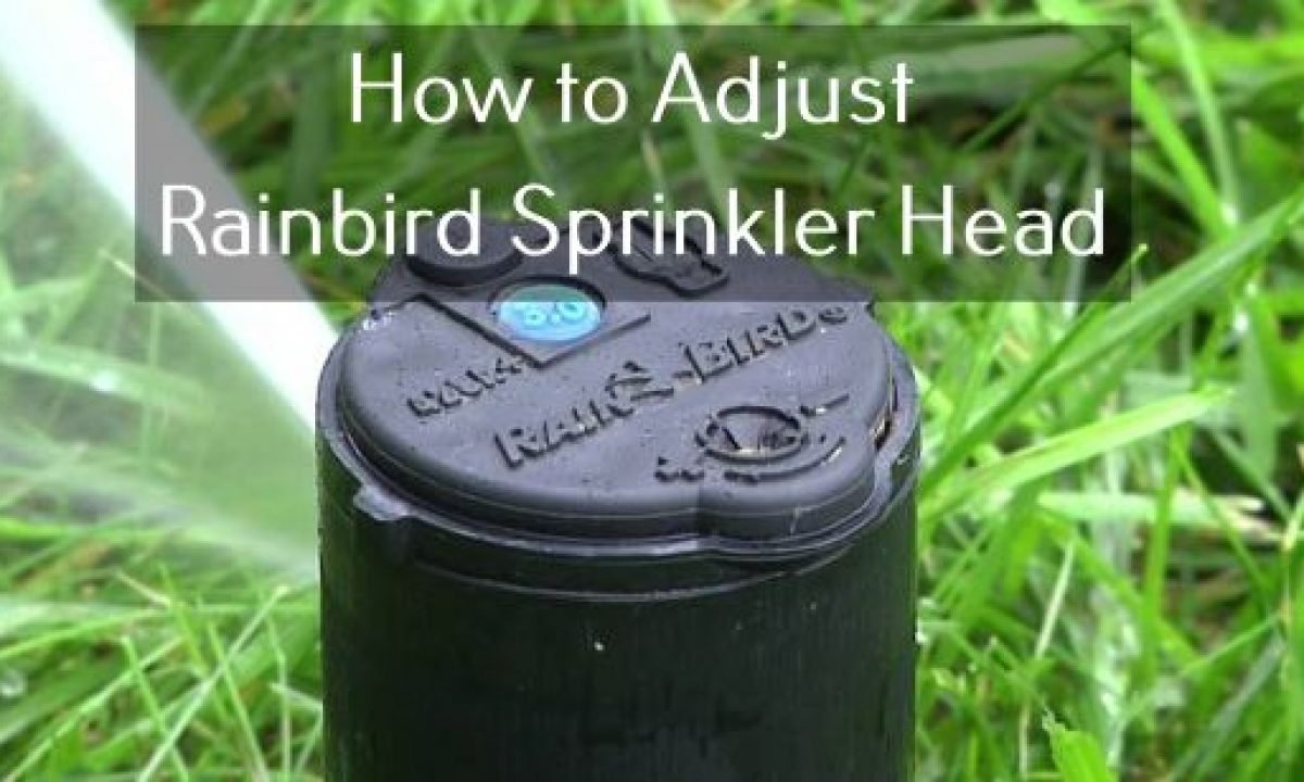 how to adjust a rainbird sprinkler head
