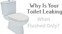 toilet leaking when flushed only