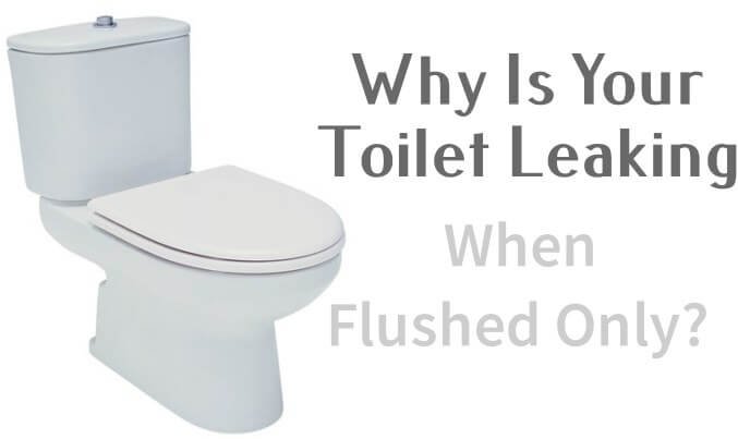 toilet leaking when flushed only