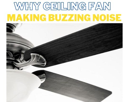 ceiling fan making buzzing noise