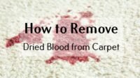 how-to-remove-dried-blood-from-carpet how to remove dried blood from carpet
