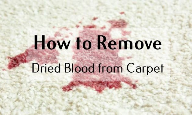 how to remove dried blood from carpet