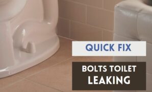 Don't Panic! Here's How You Counter Attack Bolts on Toilet Tank Leaking