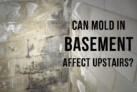 can mold in basement affect upstairs