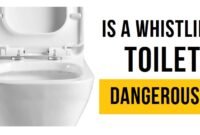is a whistling toilet dangerous