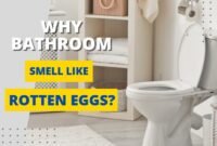 why does my bathroom smell like rotten eggs