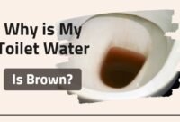 why is my toilet water brown