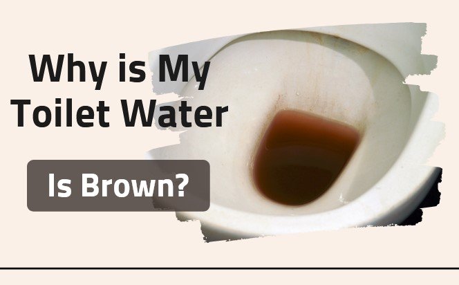 why is my toilet water brown