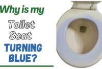 why is my toilet seat turning blue
