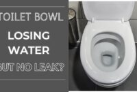 toilet bowl losing water but no leak
