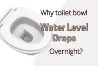toilet bowl water level drops overnight