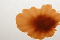 Brown-Stain-on-Ceiling Brown Stain on Ceiling